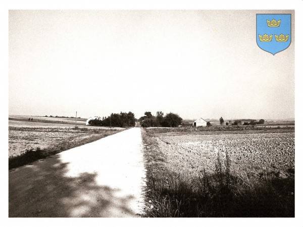 : Panorama wsi od strony zachodniej, z drogi prowadzącej z Otoli do Łan Wielkich.